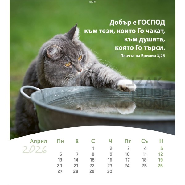 Bulgarian postcard calendar 2026 - Life for you