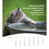Bulgaarse ansichtkaartenkalender 2026 - Leven voor jou