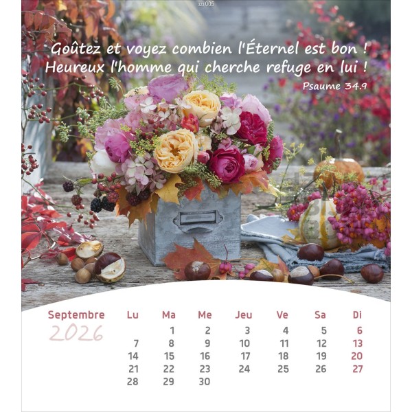 Franse ansichtkaartenkalender 2026 - Leven voor jou