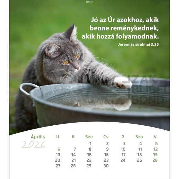 Hongaarse ansichtkaartenkalender 2026 - Leven voor jou