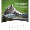 Hongaarse ansichtkaartenkalender 2026 - Leven voor jou