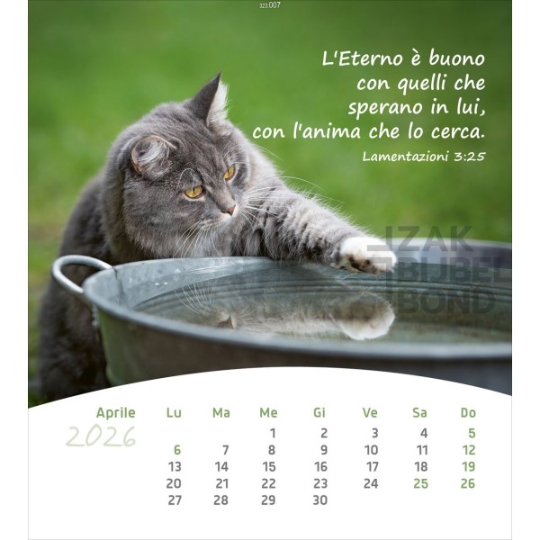 Italiaanse ansichtkaartenkalender 2026 - Leven voor jou