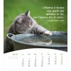 Italian postcard calendar 2026 - Life for you