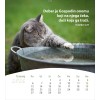 Kroatische ansichtkaartenkalender 2026 - Leven voor jou