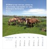 Mongoolse ansichtkaartenkalender 2026 - Leven voor jou