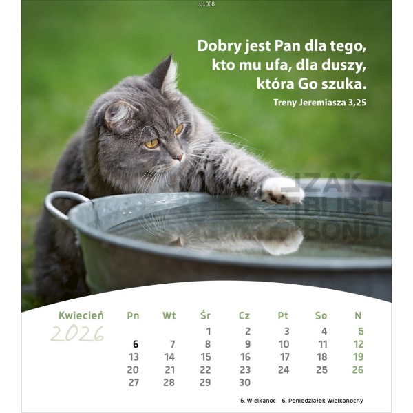 Poolse ansichtkaartenkalender 2026 - Leven voor jou