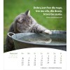 Poolse ansichtkaartenkalender 2026 - Leven voor jou