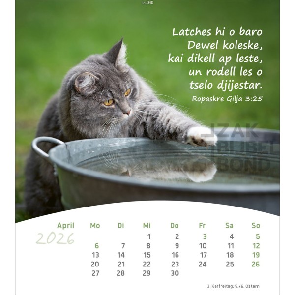 Romani ansichtkaartenkalender 2026 - Leven voor jou