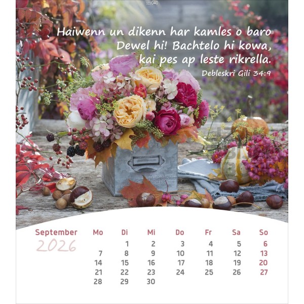 Romani ansichtkaartenkalender 2026 - Leven voor jou