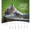 Russian postcard calendar 2026 - Life for you