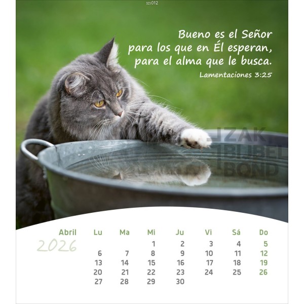 Spanish postcard calendar 2026 - Life for you