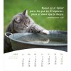 Spanish postcard calendar 2026 - Life for you
