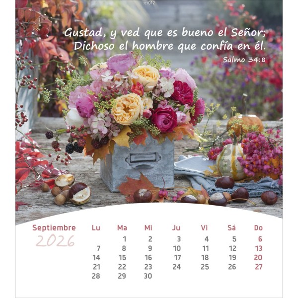 Spanish postcard calendar 2026 - Life for you