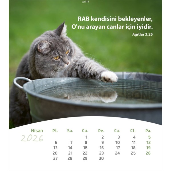 Turkse ansichtkaartenkalender 2026 - Leven voor jou