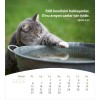 Turkse ansichtkaartenkalender 2026 - Leven voor jou