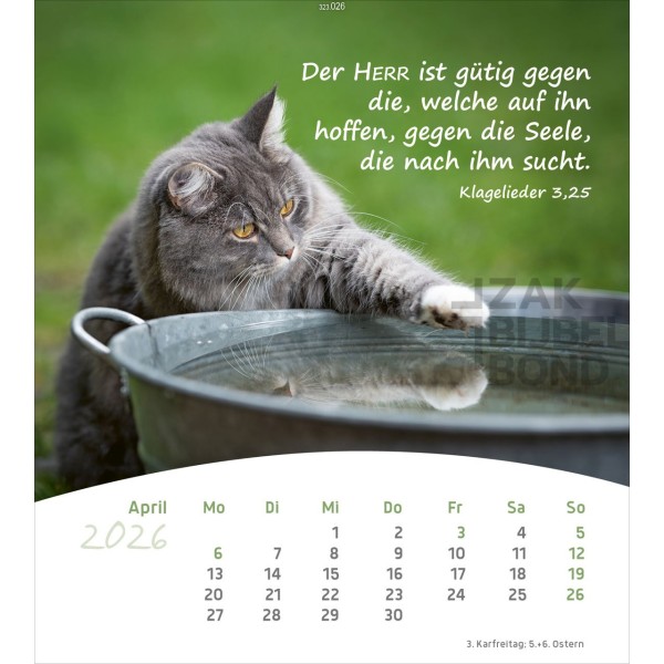 Duitse ansichtkaartenkalender 2026 - Leven voor jou