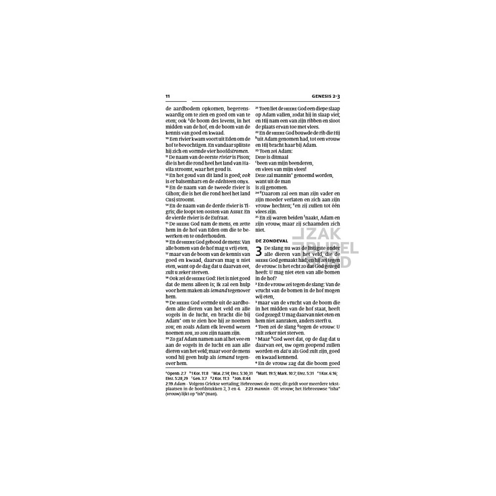 Dutch HSV Bible - soft pink hardcover