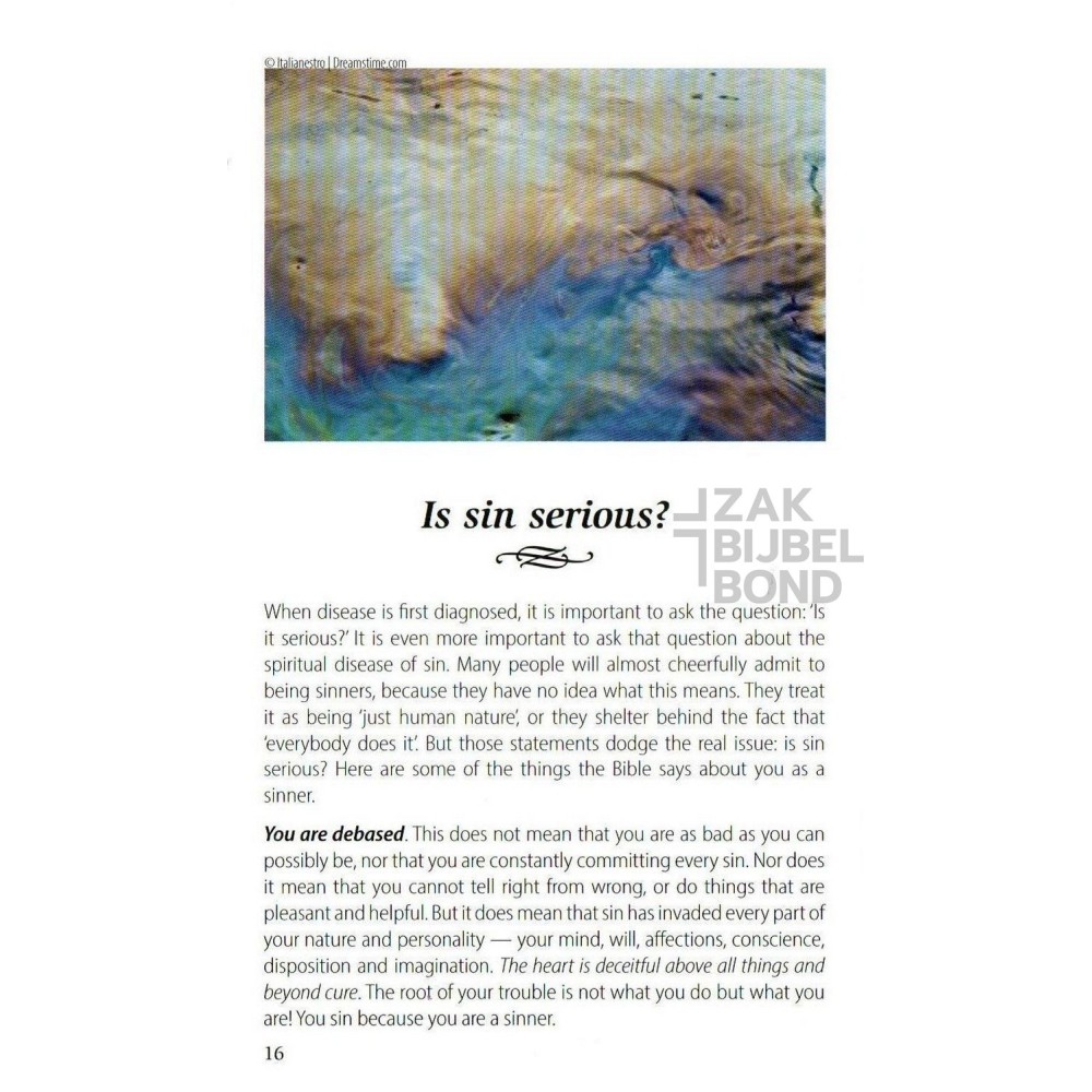 English - Ultimate Questions - NIV