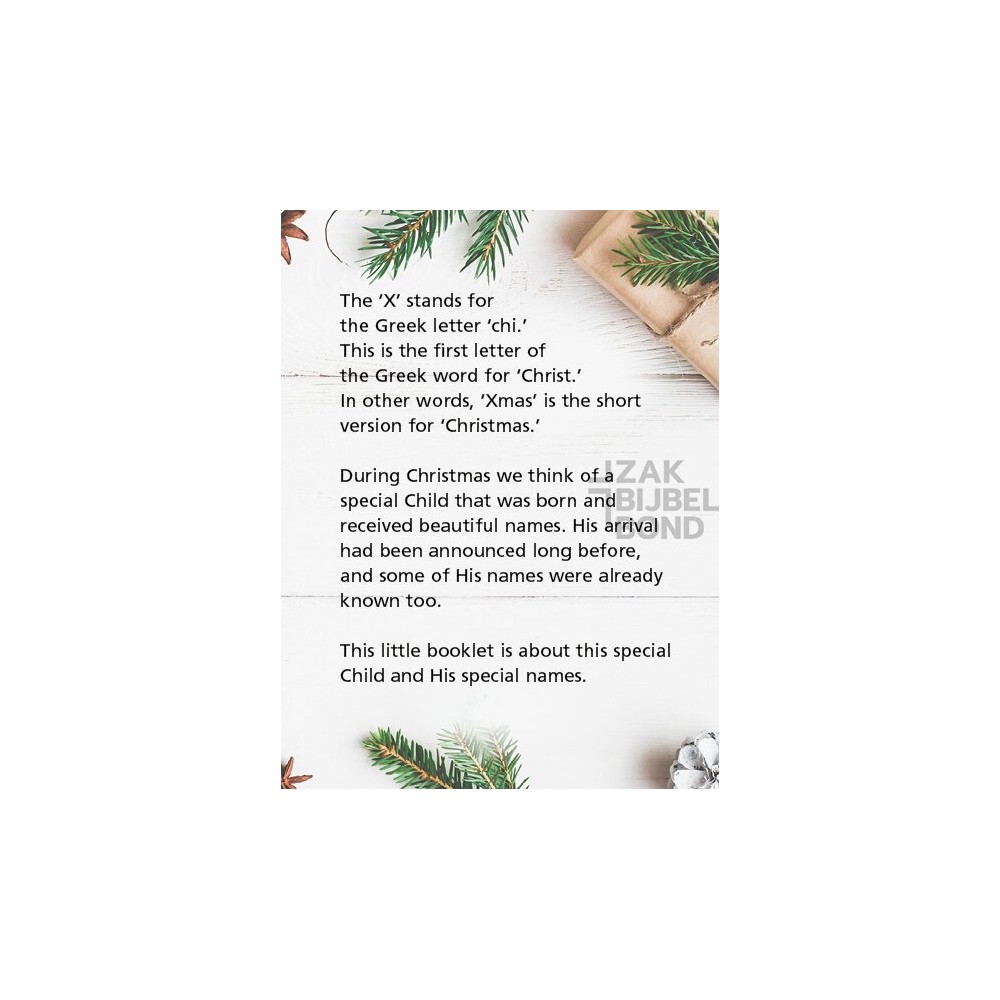 Engels evangelisatieboekje - Xmas