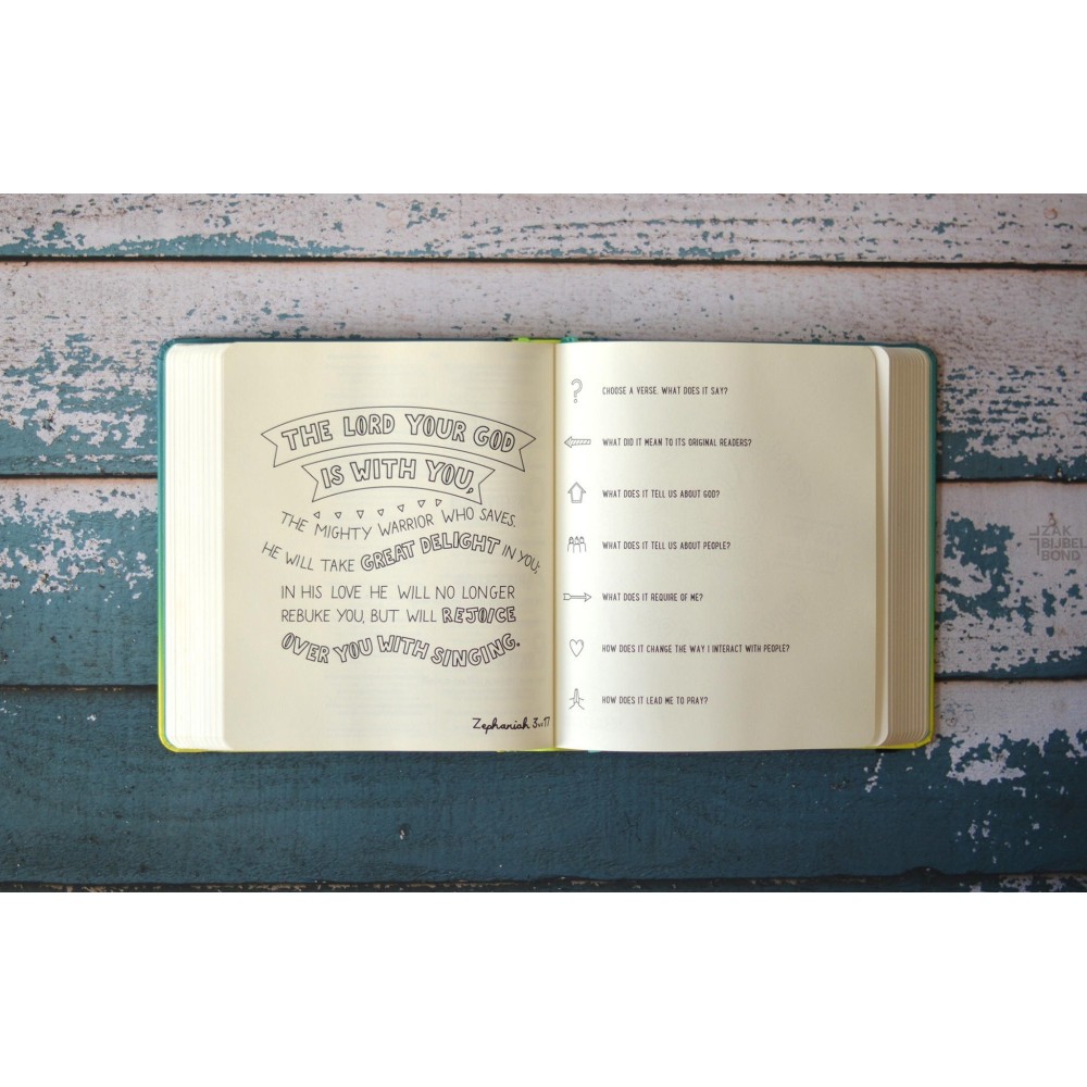 Engelse Bijbel NIV - SoulSurvivor Journalling Bijbel