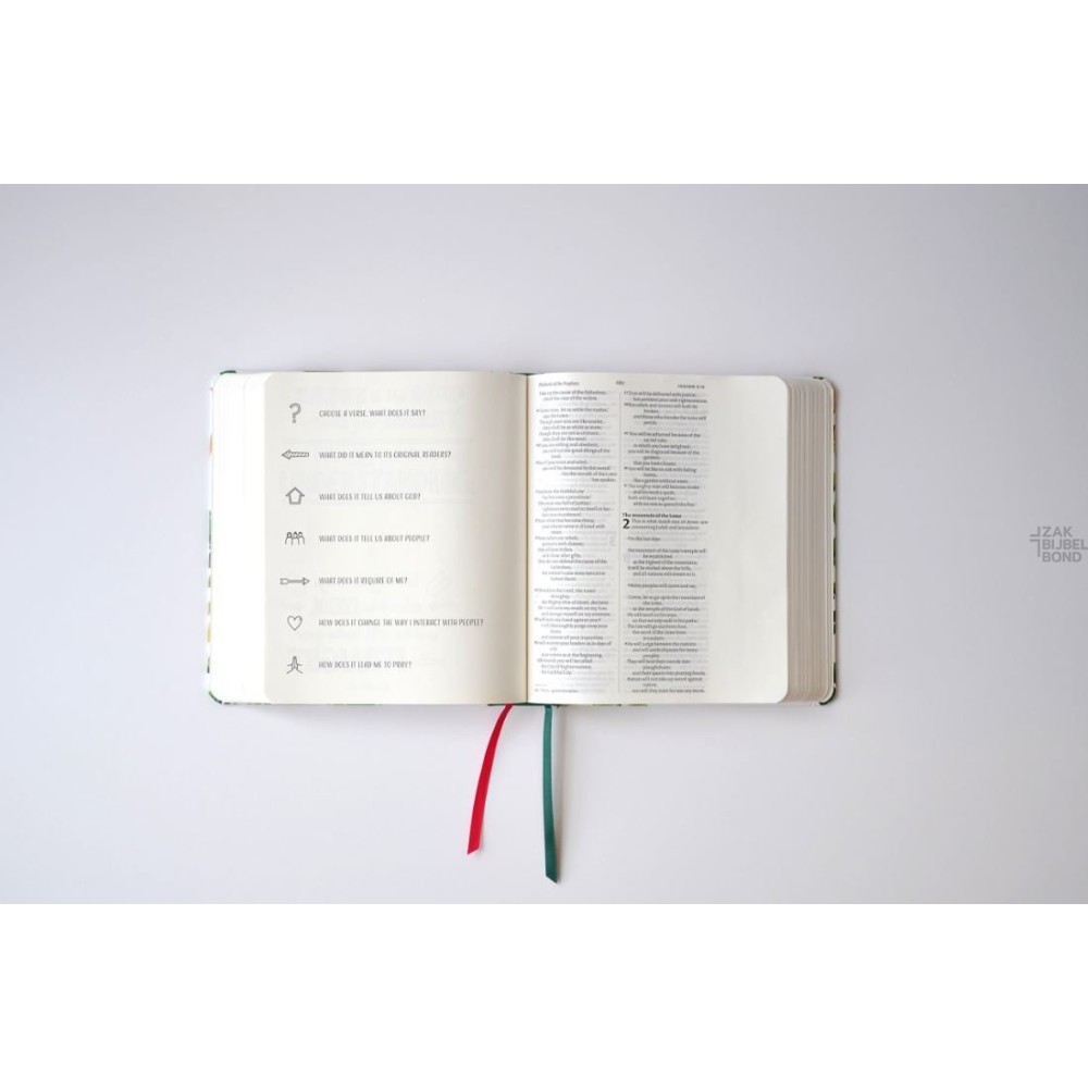 Engelse Bijbel NIV - Journalling and Verse mapping