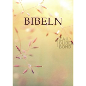 Swedish Bible paperback medium