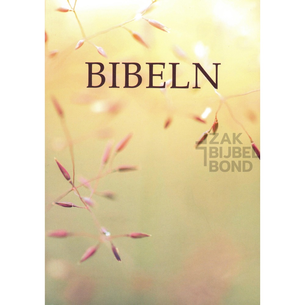 Swedish Bible paperback medium