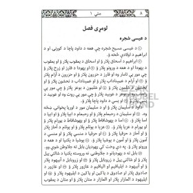 Pasjtoe Nieuw Testament - Afghanistan