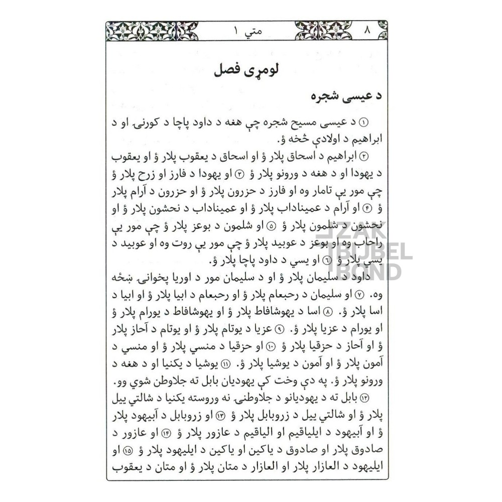 Pasjtoe Nieuw Testament - Afghanistan - Goudsnede