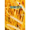 Noorse Bijbel, bijbelvertaling 1988, harde kaft, groot formaat