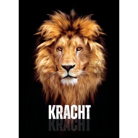 BASISBIJBEL - NT - Kracht
