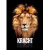 BASISBIJBEL - NT - Kracht - The Bible in easy Dutch
