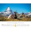 Polish Switserland calendar 2026