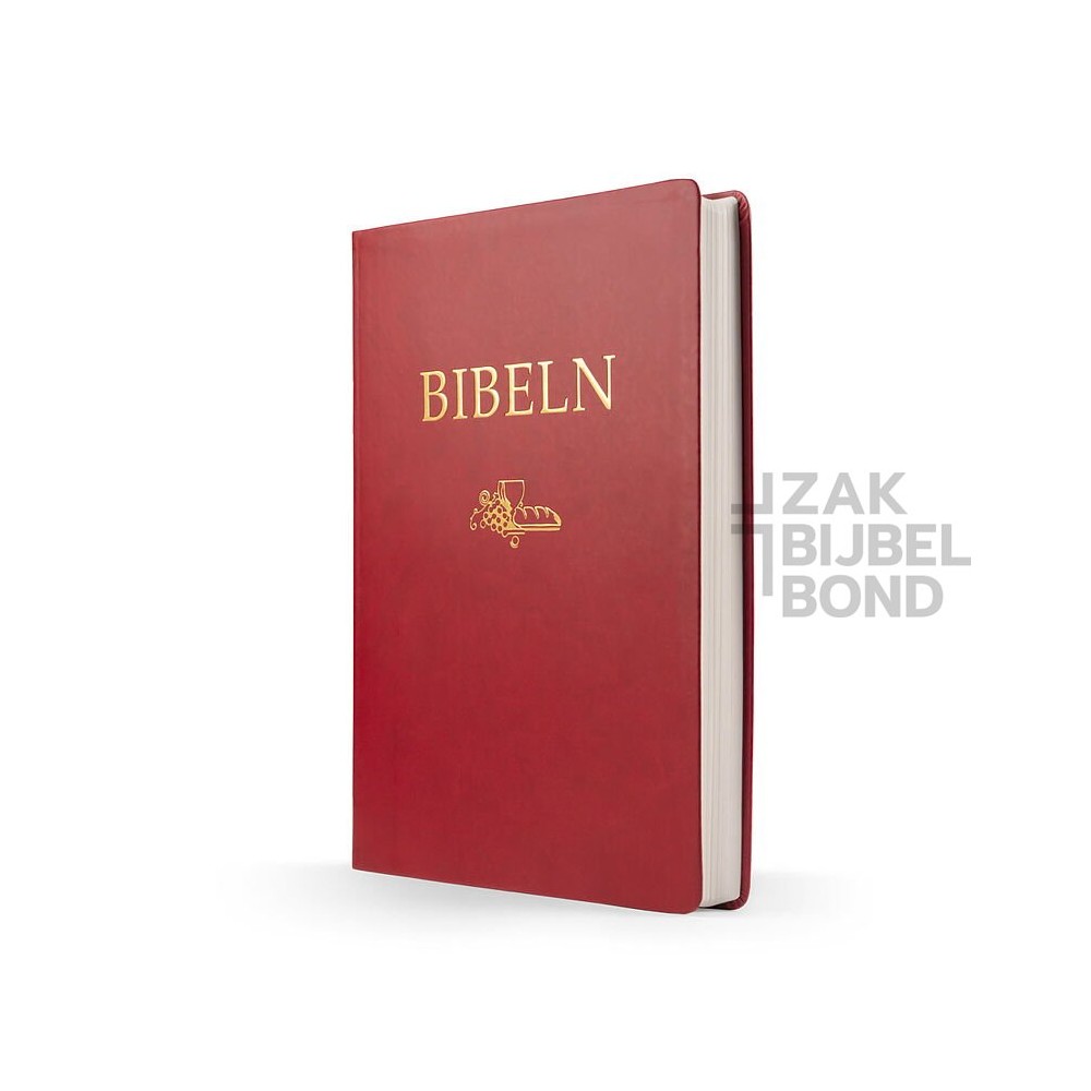 Swedish Bible A4 large print