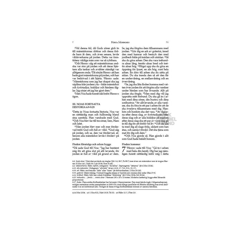 Swedish Bible extra large