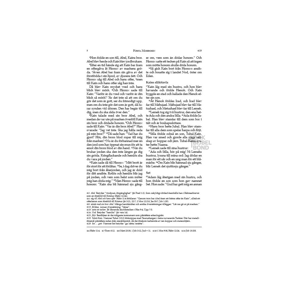 Swedish Bible large goat leather gold-edged