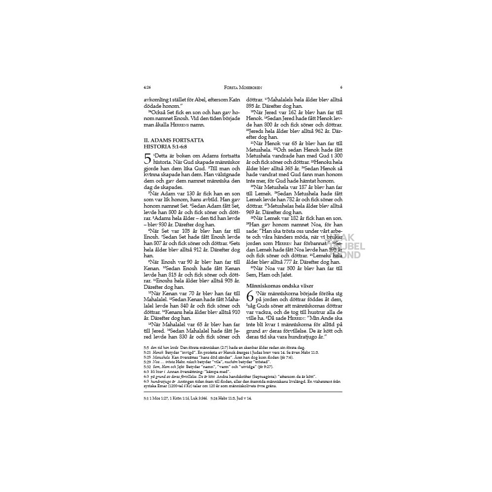 Swedish Wedding Bible Deluxe
