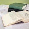 Dutch HSV Notebook Bible - Latte