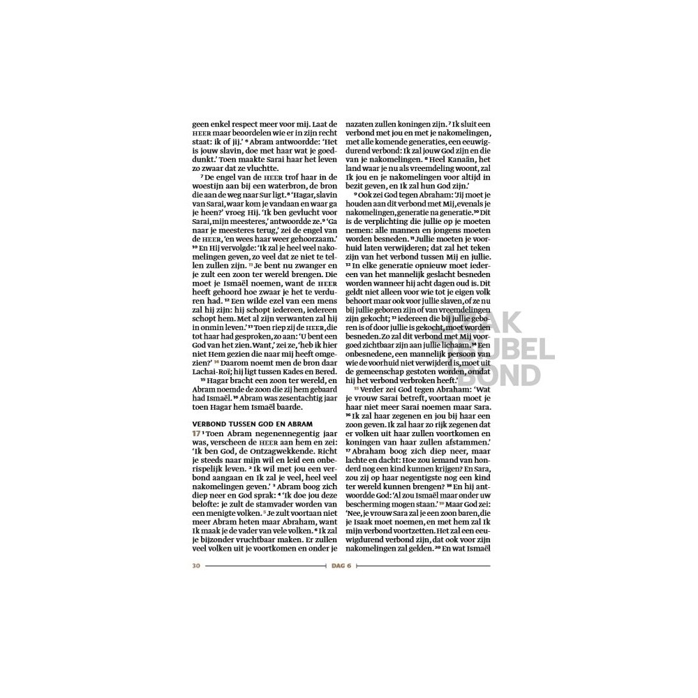 Dutch Bible NBV21 Zij lacht Journaling