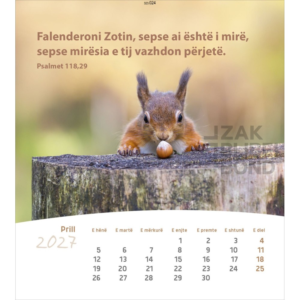 Albanese ansichtkaartenkalender 2027 - Leven voor jou