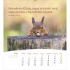 Albanese ansichtkaartenkalender 2027 - Leven voor jou