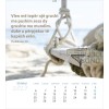 Albanese ansichtkaartenkalender 2027 - Leven voor jou
