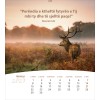 Albanese ansichtkaartenkalender 2027 - Leven voor jou