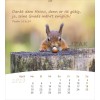 German postcard calendar 2027 - Life for you