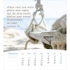 French postcard calendar 2027 - Life for you