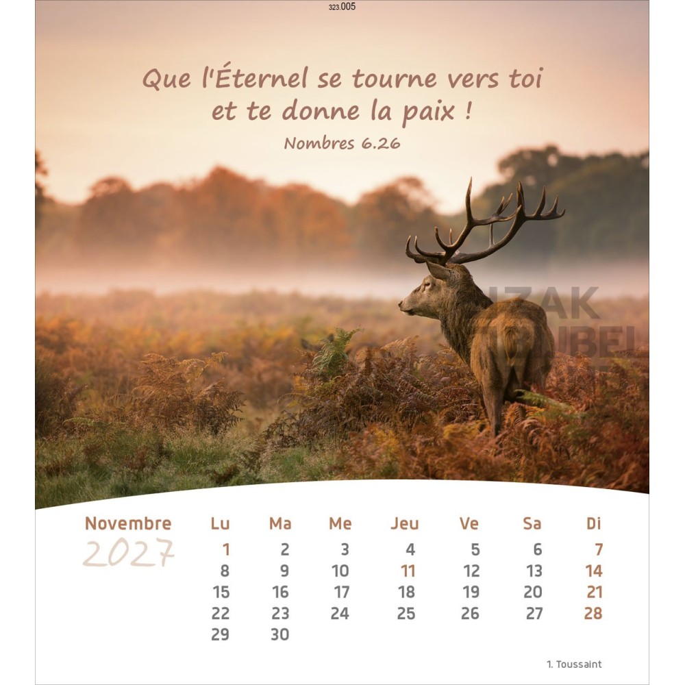 French postcard calendar 2027 - Life for you
