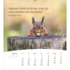 Hongaarse ansichtkaartenkalender 2027 - Leven voor jou