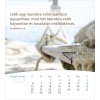 Hongaarse ansichtkaartenkalender 2027 - Leven voor jou