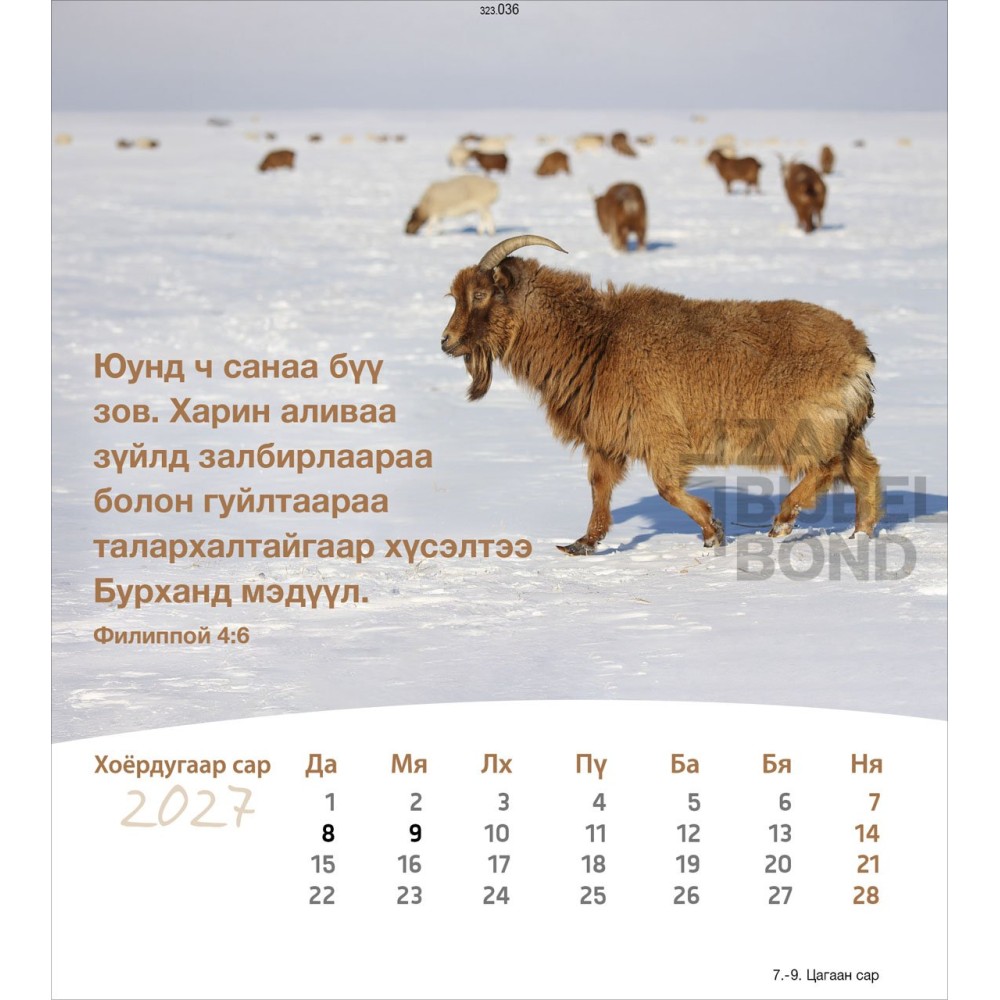 Mongolian postcard calendar 2027 - Life for you