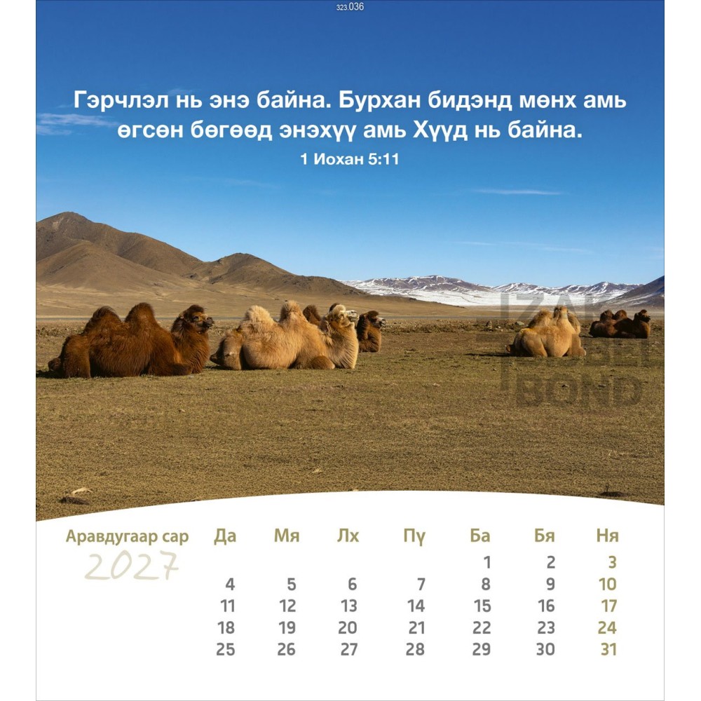 Mongolian postcard calendar 2027 - Life for you